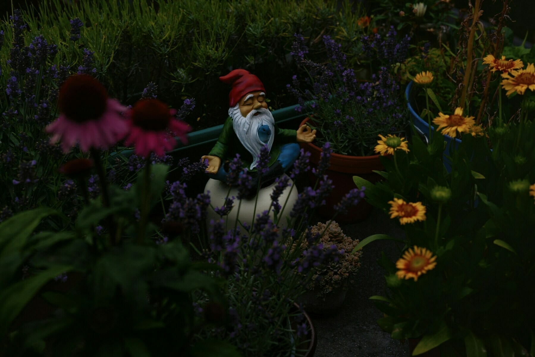Auto-generated description: A garden gnome with a red hat and white beard sits in a meditative position surrounded by colourful flowers and lush greenery.