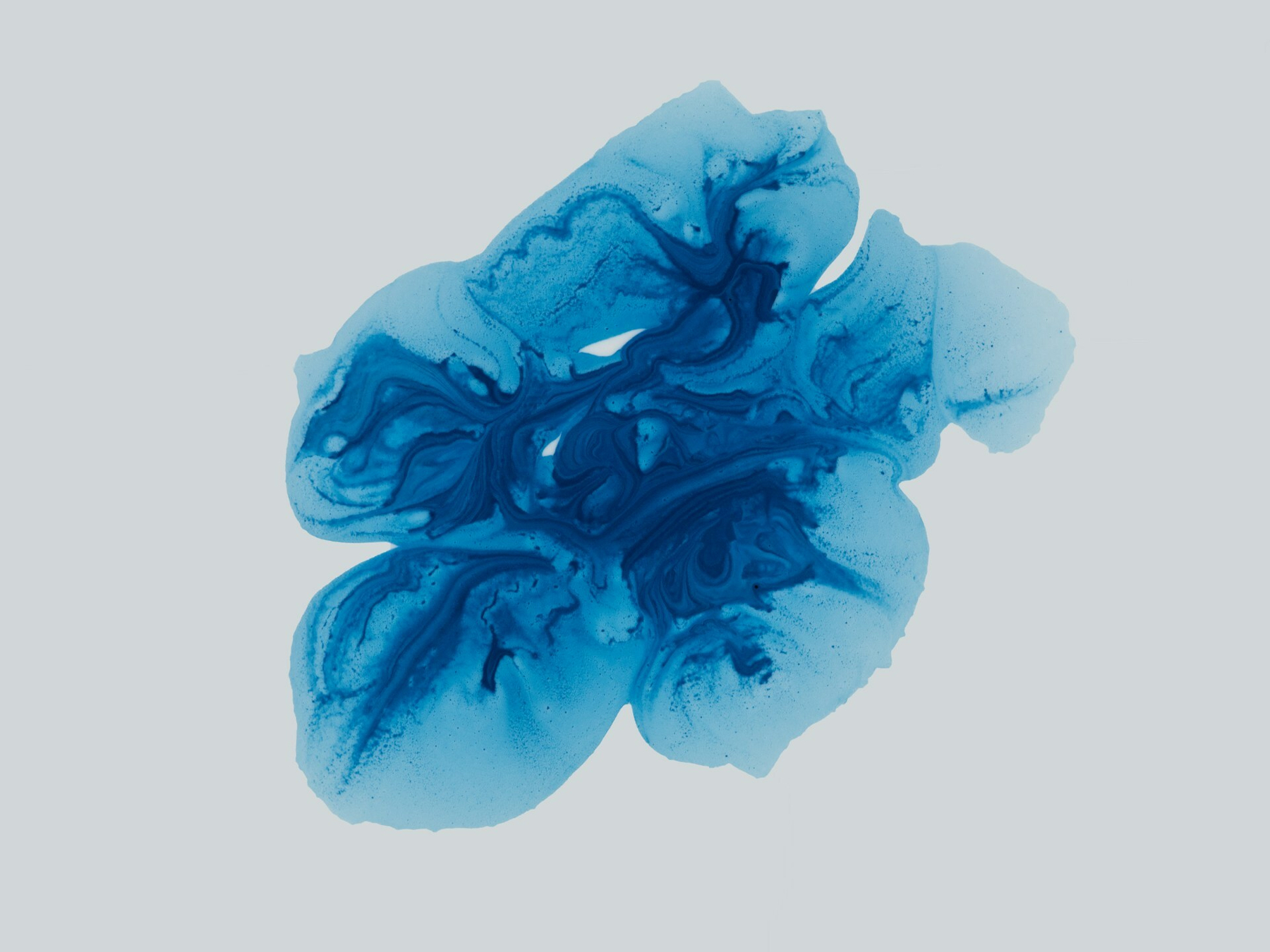 Auto-generated description: A swirling abstract pattern in deep blue resembles an inkblot on a light grey background.